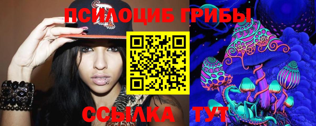 Галлюциногенные грибы Psilocybine cubensis Луховицы