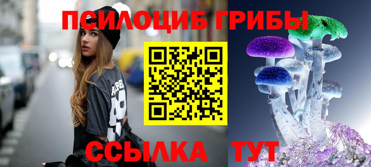 Луховицы  Псилоцибиновые грибы мухоморы  Вход с VPN 